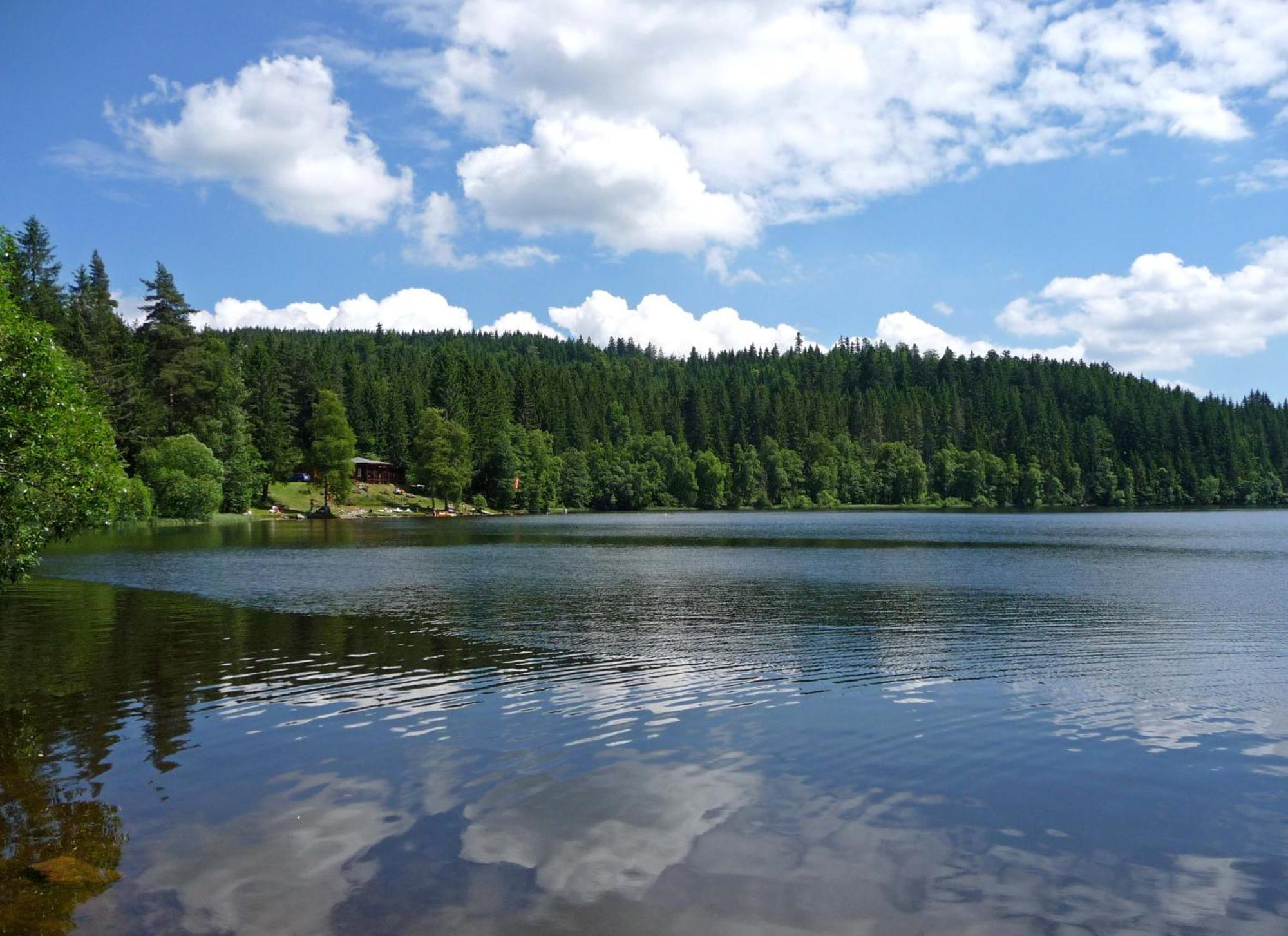 Kaltenbach's Appartements am Badeparadies Titisee-Neustadt Exterior foto